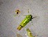  ( - NBGC6_2022)  @11 [ ] Unspecified (default): All Rights Reserved  Unspecified Unspecified