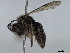  ( - BIOUG20381-A06)  @11 [ ] CreativeCommons - Attribution (2021) CBG Photography Group Centre for Biodiversity Genomics
