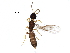  ( - BIOUG21406-D06)  @13 [ ] CreativeCommons - Attribution (2017) CBG Photography Group Centre for Biodiversity Genomics