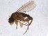  ( - BIOUG03042-D12)  @13 [ ] CreativeCommons - Attribution (2014) CBG Photography Group Centre for Biodiversity Genomics