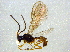  ( - BIOUG03007-D08)  @13 [ ] CreativeCommons - Attribution (2012) CBG Photography Group Centre for Biodiversity Genomics