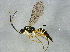  ( - BIOUG03019-H04)  @14 [ ] CreativeCommons - Attribution (2012) CBG Photography Group Centre for Biodiversity Genomics