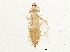  ( - BIOUG03022-A03)  @14 [ ] CreativeCommons - Attribution (2013) CBG Photography Group Centre for Biodiversity Genomics