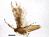 ( - BIOUG03169-F12)  @12 [ ] CreativeCommons - Attribution (2013) CBG Photography Group Centre for Biodiversity Genomics