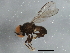  ( - BIOUG03279-G05)  @13 [ ] CreativeCommons - Attribution (2013) CBG Photography Group Centre for Biodiversity Genomics