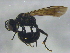  ( - BIOUG03461-A08)  @13 [ ] CreativeCommons - Attribution (2012) CBG Photography Group Centre for Biodiversity Genomics