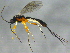  ( - BIOUG03461-E07)  @13 [ ] CreativeCommons - Attribution (2012) CBG Photography Group Centre for Biodiversity Genomics