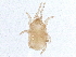  ( - BIOUG03759-F05)  @13 [ ] CreativeCommons - Attribution (2013) CBG Photography Group Centre for Biodiversity Genomics