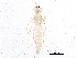  ( - BIOUG03797-B09)  @13 [ ] CreativeCommons - Attribution (2015) CBG Photography Group Centre for Biodiversity Genomics