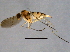  ( - BIOUG03847-H04)  @13 [ ] CreativeCommons - Attribution (2014) CBG Photography Group Centre for Biodiversity Genomics