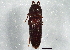  ( - BIOUG03751-G10)  @12 [ ] CreativeCommons - Attribution (2014) CBG Photography Group Centre for Biodiversity Genomics