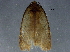  ( - BIOUG03881-H09)  @12 [ ] CreativeCommons - Attribution (2013) CBG Photography Group Centre for Biodiversity Genomics