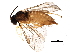  ( - BIOUG08483-D10)  @13 [ ] CreativeCommons - Attribution (2015) CBG Photography Group Centre for Biodiversity Genomics