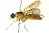  ( - BIOUG08615-E10)  @13 [ ] CreativeCommons - Attribution (2015) CBG Photography Group Centre for Biodiversity Genomics