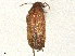  ( - BIOUG08676-A09)  @11 [ ] CreativeCommons - Attribution Share - Alike (2025) CBG Photography Group Centre for Biodiversity Genomics