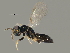  ( - BIOUG08715-B03)  @13 [ ] CreativeCommons - Attribution (2014) CBG Photography Group Centre for Biodiversity Genomics