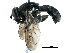  (Myolepta nigra - BIOUG08978-F03)  @14 [ ] CreativeCommons - Attribution (2016) CBG Photography Group Centre for Biodiversity Genomics