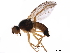  ( - BIOUG19538-H03)  @11 [ ] CreativeCommons - Attribution (2020) CBG Photography Group Centre for Biodiversity Genomics