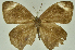  ( - CNSAT-27)  @11 [ ] Copyright  (2021) Zhou Lin Northwest A&F University