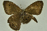  ( - CNSAT-64)  @11 [ ] Unspecified (default): All Rights Reserved  Unspecified Unspecified