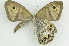  ( - CNSAT-64)  @11 [ ] Unspecified (default): All Rights Reserved  Unspecified Unspecified