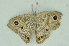  ( - CNSAT-73)  @11 [ ] Unspecified (default): All Rights Reserved  Unspecified Unspecified