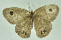  ( - CNSAT-74)  @11 [ ] Unspecified (default): All Rights Reserved  Unspecified Unspecified