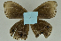 ( - CNSAT-75)  @11 [ ] Unspecified (default): All Rights Reserved  Unspecified Unspecified