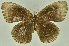  ( - CNSAT-76)  @11 [ ] Unspecified (default): All Rights Reserved  Unspecified Unspecified