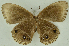  ( - CNSAT-76)  @11 [ ] Unspecified (default): All Rights Reserved  Unspecified Unspecified