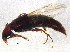  ( - BIOUG02747-B11)  @13 [ ] CreativeCommons - Attribution (2014) CBG Photography Group Centre for Biodiversity Genomics
