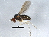  ( - BIOUG02758-B03)  @13 [ ] CreativeCommons - Attribution (2013) CBG Photography Group Centre for Biodiversity Genomics