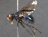  ( - BIOUG02740-D04)  @12 [ ] CreativeCommons - Attribution (2012) CBG Photography Group Centre for Biodiversity Genomics