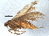  ( - BIOUG03102-E07)  @13 [ ] CreativeCommons - Attribution (2013) CBG Photography Group Centre for Biodiversity Genomics