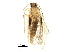  ( - BIOUG03819-C04)  @12 [ ] CreativeCommons - Attribution (2018) CBG Photography Group Centre for Biodiversity Genomics