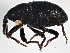  ( - BIOUG03648-D04)  @13 [ ] CreativeCommons - Attribution (2013) CBG Photography Group Centre for Biodiversity Genomics
