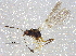  ( - BIOUG03979-C09)  @13 [ ] CreativeCommons - Attribution (2013) CBG Photography Group Centre for Biodiversity Genomics
