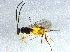  ( - BIOUG03887-G02)  @12 [ ] CreativeCommons - Attribution (2013) CBG Photography Group Centre for Biodiversity Genomics