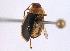  ( - BIOUG06614-D12)  @13 [ ] CreativeCommons - Attribution (2014) CBG Photography Group Centre for Biodiversity Genomics