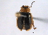  ( - BIOUG06614-E02)  @13 [ ] CreativeCommons - Attribution (2014) CBG Photography Group Centre for Biodiversity Genomics