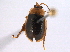  ( - BIOUG06614-E03)  @13 [ ] CreativeCommons - Attribution (2014) CBG Photography Group Centre for Biodiversity Genomics