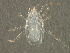  ( - BIOUG06962-F05)  @12 [ ] CreativeCommons - Attribution (2014) CBG Photography Group Centre for Biodiversity Genomics
