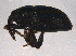  ( - BIOUG07026-C09)  @13 [ ] CreativeCommons - Attribution (2014) CBG Photography Group Centre for Biodiversity Genomics
