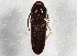  ( - BIOUG07026-G04)  @13 [ ] CreativeCommons - Attribution (2014) CBG Photography Group Centre for Biodiversity Genomics