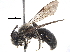  ( - BIOUG07023-B06)  @15 [ ] CreativeCommons - Attribution (2015) CBG Photography Group Centre for Biodiversity Genomics