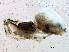  ( - BIOUG06869-D08)  @12 [ ] CreativeCommons - Attribution (2014) CBG Photography Group Centre for Biodiversity Genomics