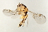  ( - BEN-M11-HN-10)  @13 [ ] Unspecified (default): All Rights Reserved  Unspecified Unspecified