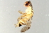 ( - BEN-M11-HN-14)  @13 [ ] Unspecified (default): All Rights Reserved  Unspecified Unspecified