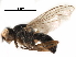  ( - BIOUG18957-D10)  @11 [ ] CreativeCommons - Attribution (2017) CBG Photography Group Centre for Biodiversity Genomics