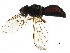  ( - BIOUG18468-B02)  @14 [ ] CreativeCommons - Attribution (2016) CBG Photography Group Centre for Biodiversity Genomics
